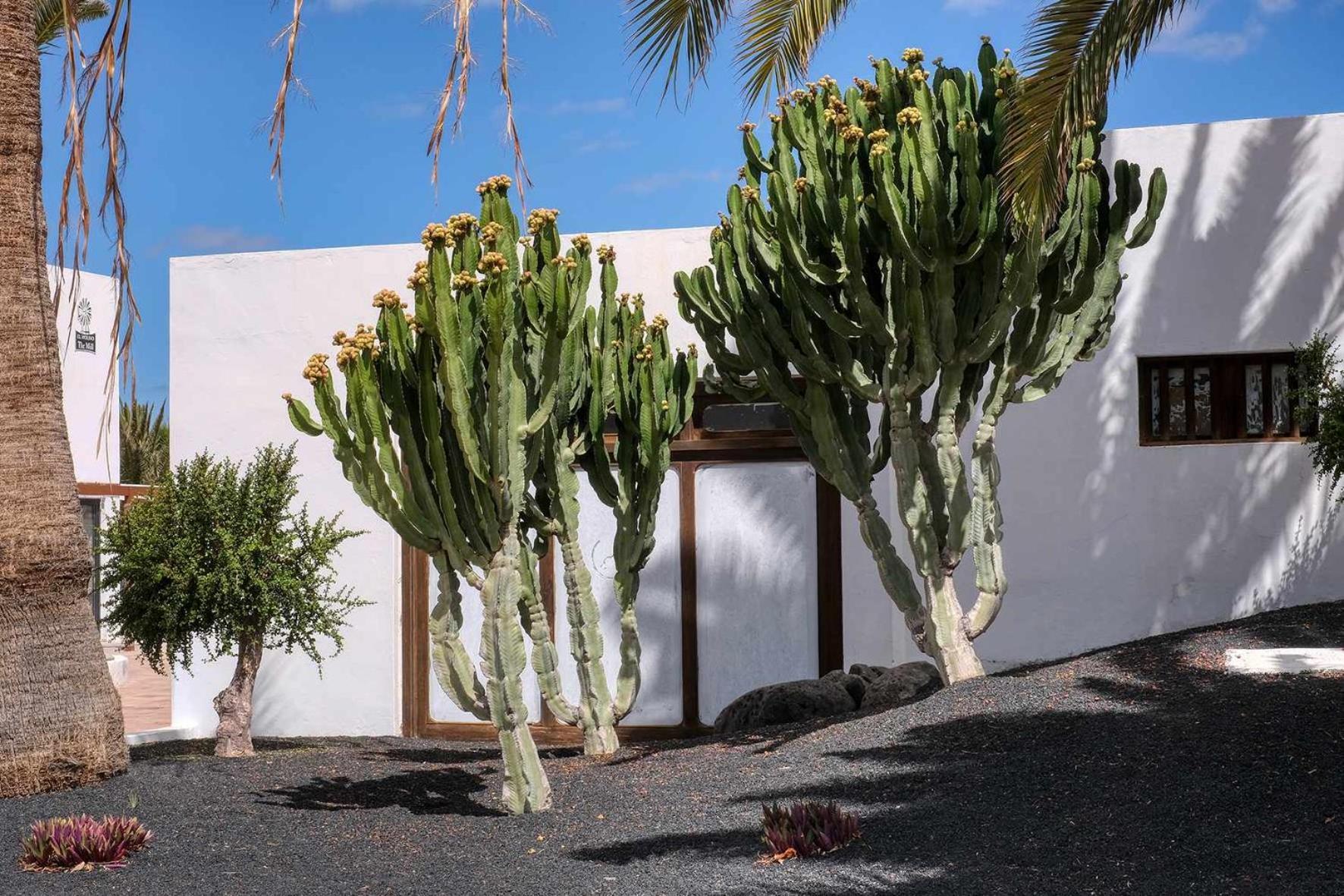Los Molinos Luxury Y Relax Costa Teguise Exterior foto
